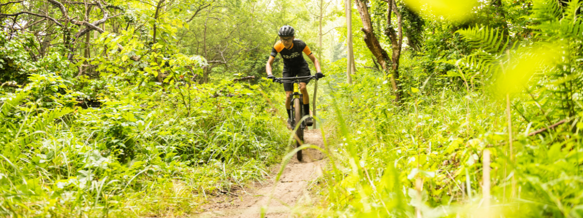 Koopgids: Welke buitenbanden heb je nodig voor de mountainbike?