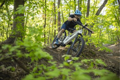 TEGEL-ELEKTRISCHE_MOUNTAINBIKES-FULL-SUSPENSION