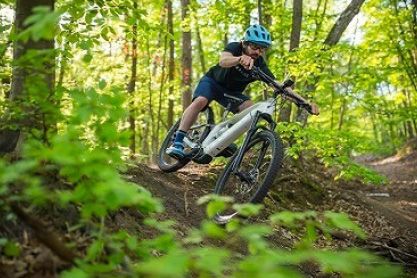 TEGEL-MOUNTAINBIKES-ELEKTRISCH