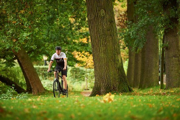 trekking-hybride-fiets