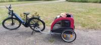 Geüploade afbeelding voor review