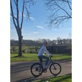 Geüploade afbeelding voor review
