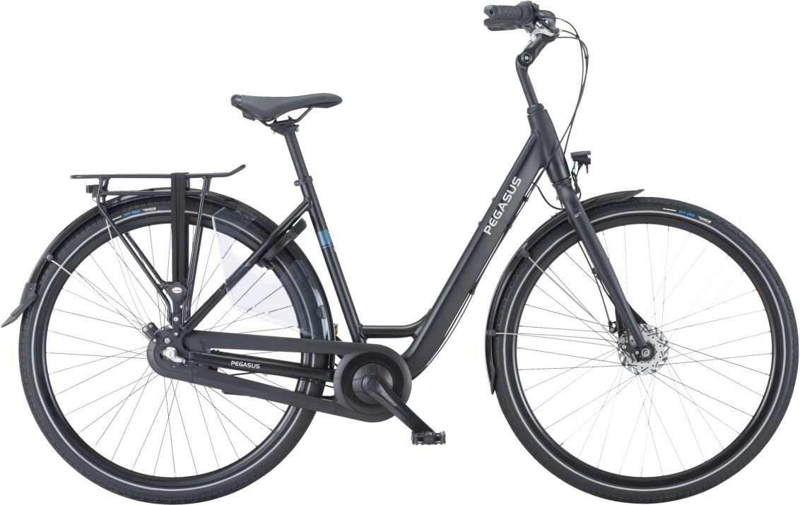 Pegasus Lucca 3 2025  