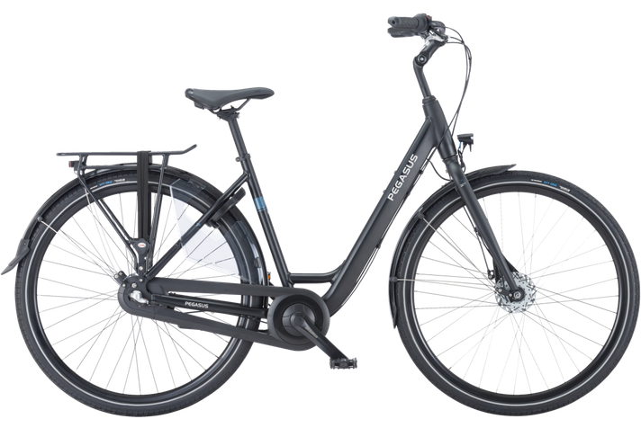 Pegasus Pegasus Lucca 3 2025  