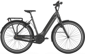 Gazelle Gazelle Ultimate C8+ HMB 2020  