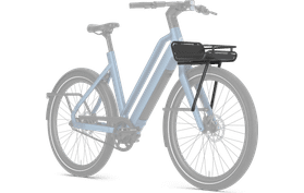 Gazelle Gazelle Cayo Voordrager  