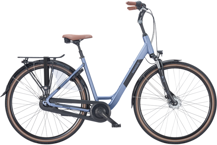 Pegasus Pegasus Siena 7 2025  