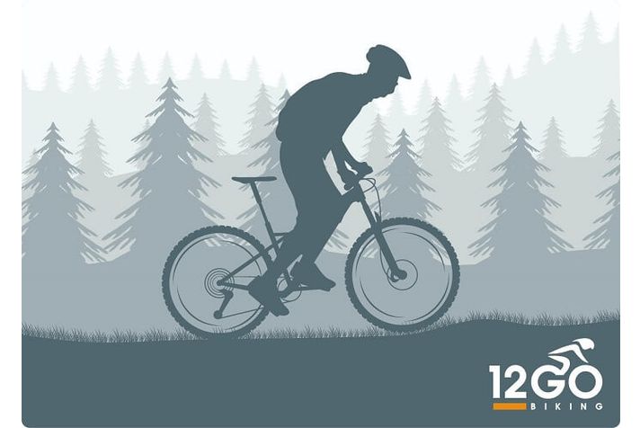 Gazelle Gazelle Grenoble C8 HMS 2019 | Premium  