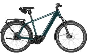 Riese & Müller Charger5 Vario 2027 Demo  