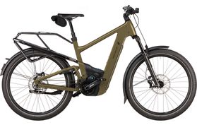 Riese & Müller Delite5 Pinion 2027 Demo  