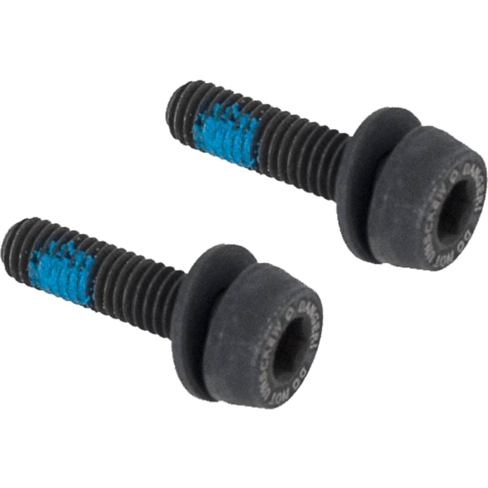 Campagnolo Campagnolo 2 x 19mm Achterrembouten (10-14 mm)  