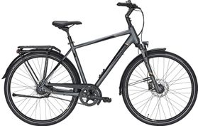 Pegasus Pegasus Premio SL Belt 2021  