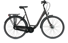 Pegasus Pegasus Lucca 3v 2019  