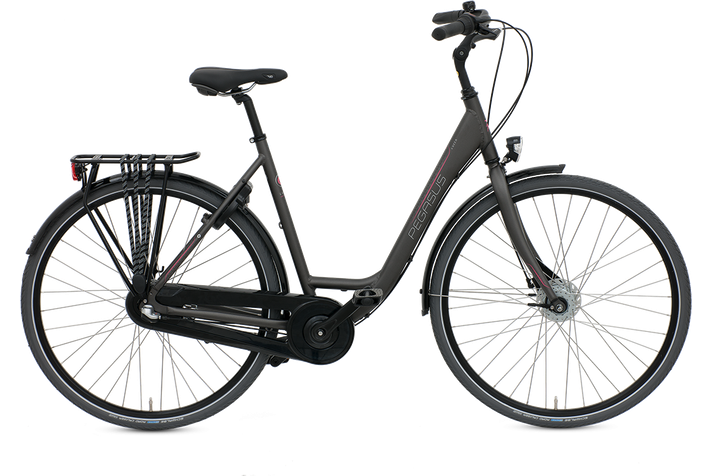 Pegasus Pegasus Lucca 3v 2019  