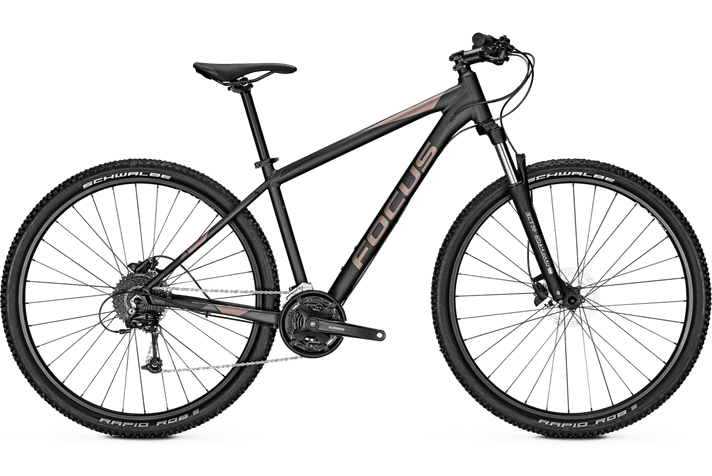 Focus Whistler 3.6 2020  