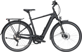 Pegasus Pegasus Opero EVO 10 2020  