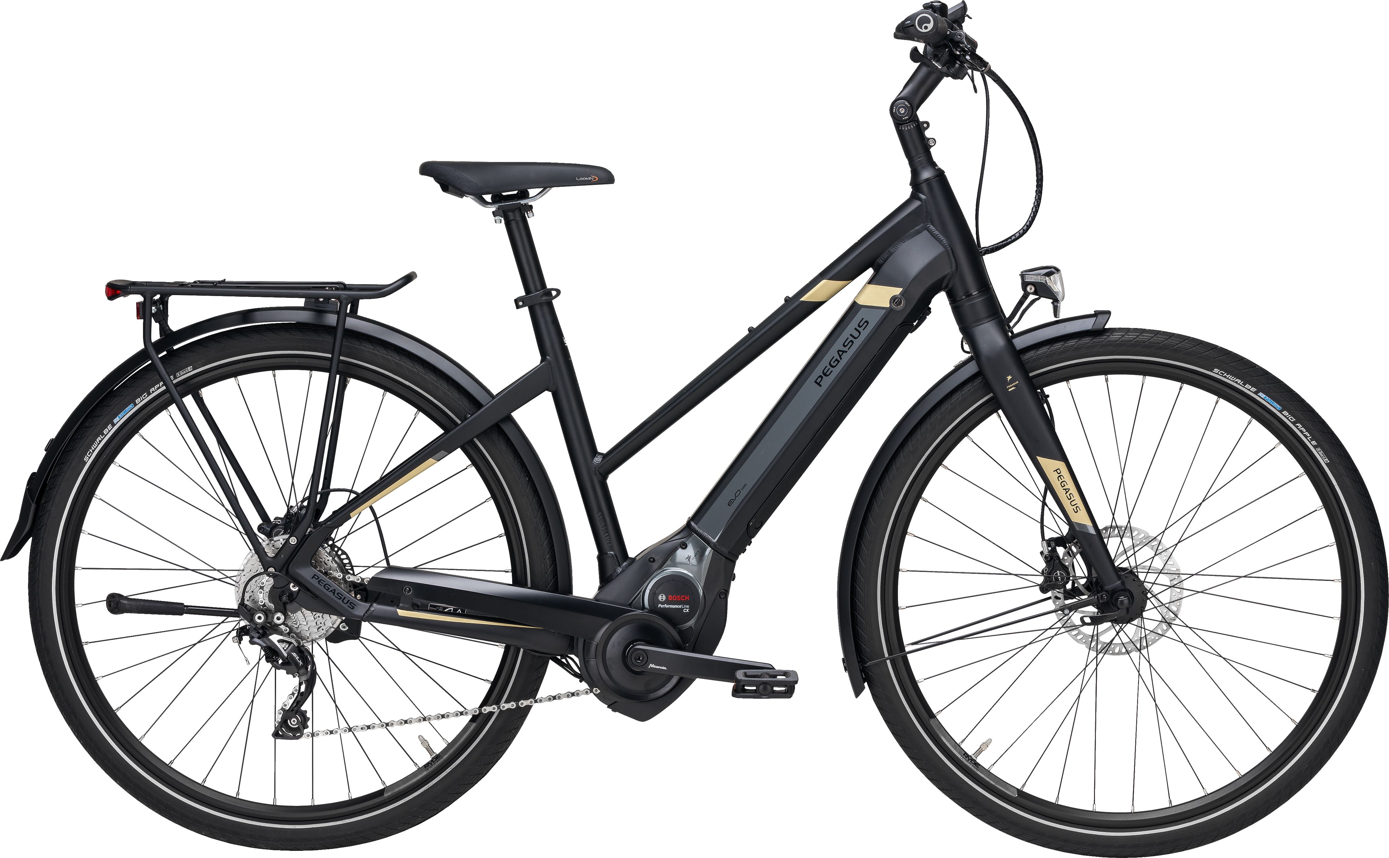 Pegasus Tecaro EVO 10 2019  