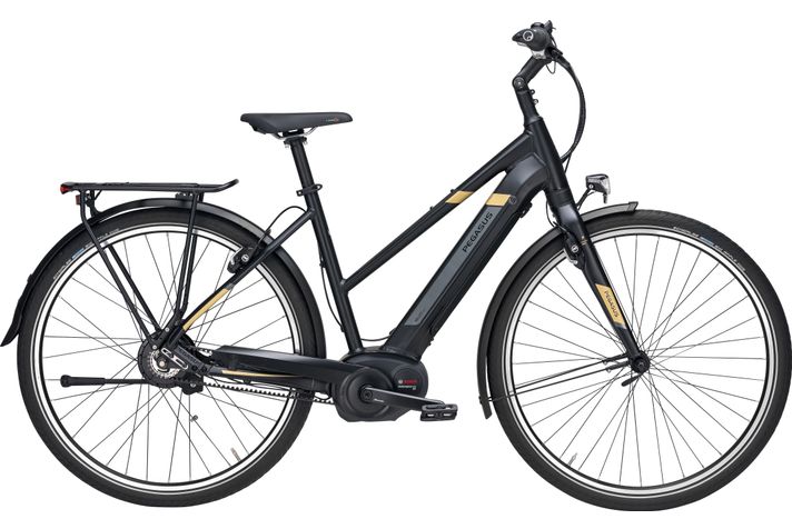 Pegasus Tecaro Evo Belt Nuvinci 2019 Demo  