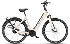 Sparta Sparta A-Shine Energy 2024  