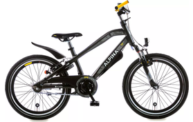 Alpina Alpina Trial 20 inch Jongensfiets 2026  
