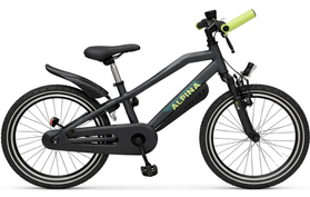 Alpina Trial 20 Inch Jongensfiets 2026  