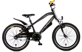 Alpina Alpina Trial 22 inch Jongensfiets 2026  
