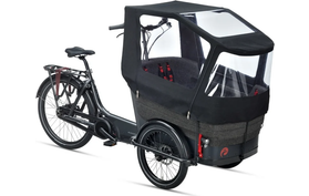 Batavus Fier 3 Regentent Frame  