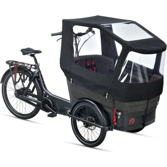 Batavus Fier 3 Regentent Frame  