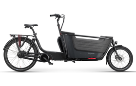 Batavus Fier 2 2025  