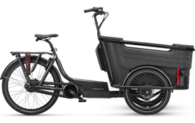 Batavus Batavus Fier 3 2022  