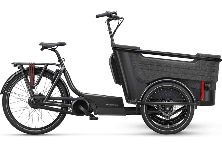 Batavus Batavus Fier 3 2022  