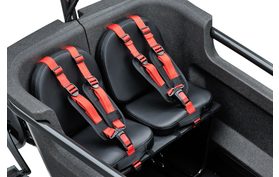 Batavus Batavus Fier Kussen  