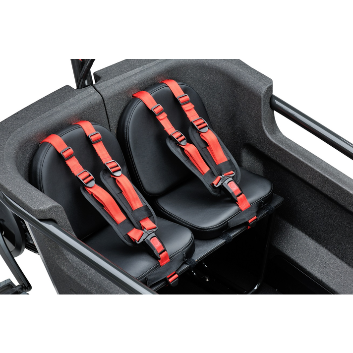 Batavus Batavus Fier Kussen  