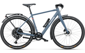 Batavus Liner E-go Sport 2025  