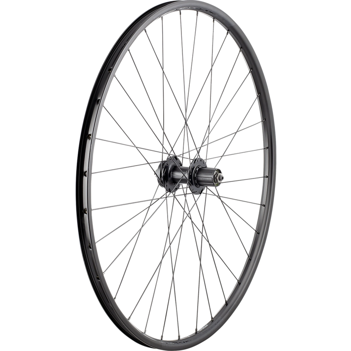 Bontrager Bontrager Connection Disc MTB Achterwiel  