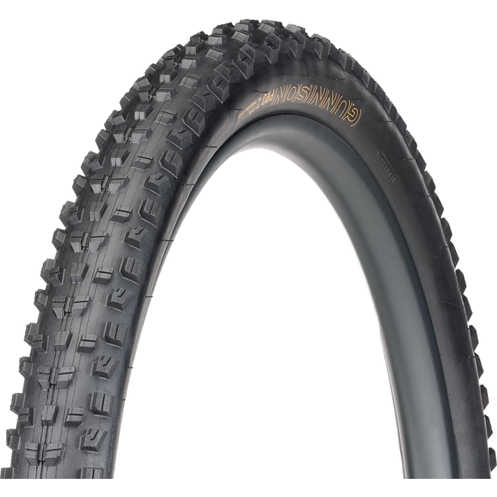 Bontrager Bontrager Gunnison Pro XR TLR MTB Buitenband  
