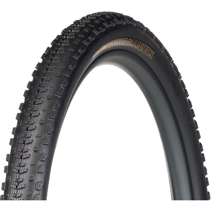 Bontrager Bontrager Sainte-Anne Pro XR TLR MTB Buitenband  