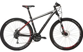 Bulls Bulls LT 29 2017  