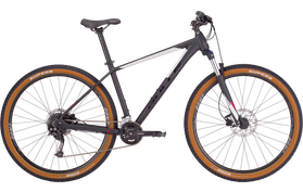 Bulls Bulls Bushtail  