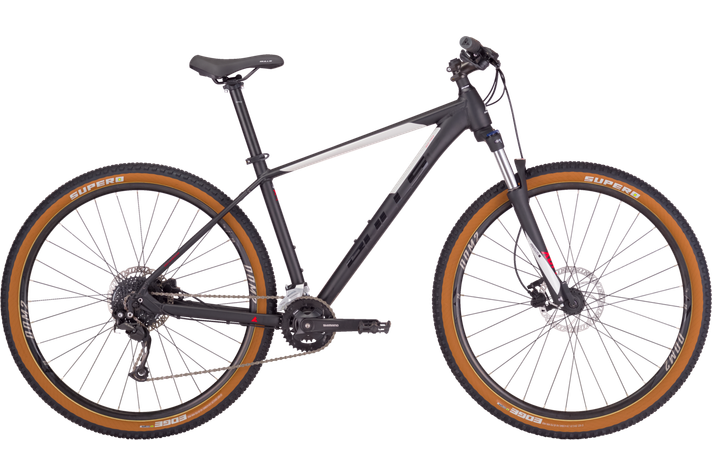 Bulls Bulls Bushtail  