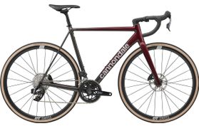 Cannondale CAAD14 2 2026  