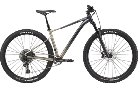 Cannondale Cannondale Trail SL 1 2022  