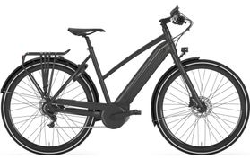 Gazelle Gazelle CityZen C8+ HMB 2019  