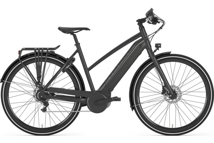 Gazelle Gazelle CityZen C8+ HMB 2019  