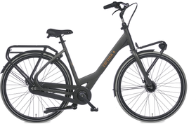 Cortina Cortina Common Family 2025  