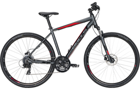 Bulls Crossbike 1 2021  