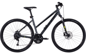 Bulls Bulls Crosstail  