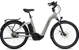 Flyer Flyer Gotour4 5.00 2022  