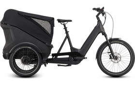 Cube Trike Cargo Hybrid 750  