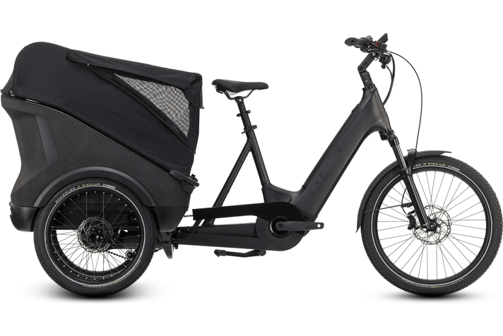 Cube Trike Cargo Hybrid 750  